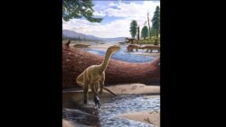Science in a Minute: Scientists Discover Africa's Oldest Dinosaur