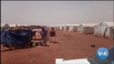 🇲🇱Mali la, ka bo marsi kalo la fo sisan, mogo fo lenw na li ma kotike menaka dugu kono jatemine ke la dow ka fo la. 