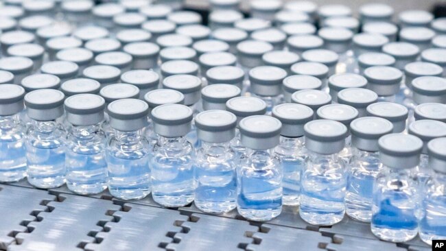 FILE - This August 2022 photo provided by Pfizer shows vials of the company's updated COVID-19 vaccine during production in Kalamazoo, Mich.