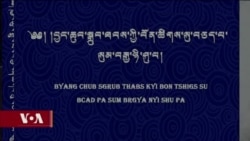 བྱང་ཆུབ་སྒྲུབ་ཐབས་ཚིགས་སུ་བཅད་པ་སུམ་བརྒྱ་ཉི་ཤུ་པ།