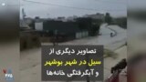 تصاویر دیگری از سیل در شهر بوشهر و آبگرفتگی خانه‌ها
