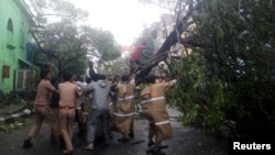 Policemen remove a tree that fell on a road after it was uprooted by strong winds in Chennai, India, Dec. 12, 2016. 