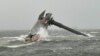US Coast Guard: 1 Dead, 12 Missing After Ship Capsizes off Louisiana Coast 