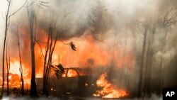 آتشسوزی جنگلی در شمال کالیفرنیا