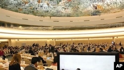 联合国人权理事会