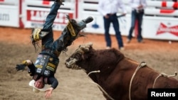 Actually ... this seems like a good time to panic. A bull rider from the U.S. gets thrown off the bull during the 101st Calgary Stampede rodeo in Calgary, Alberta, July 2013. (REUTERS/Todd Korol) 
