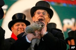 Punxsutawney Phil is held by Ron Ploucha after emerging from his burrow Sunday, Feb. 2, 2014.