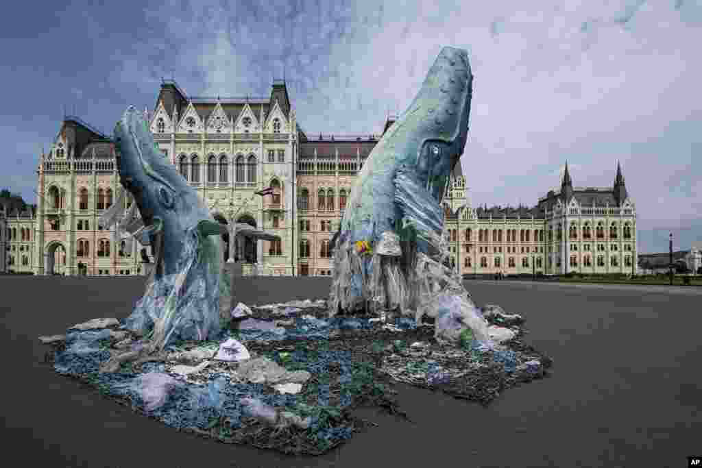 Whale sculptures made from plastic waste recovered from the ocean are seen at the parliament building in Budapest, Hungary.