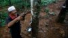 Southeast Asia's Rubber Farmers Hope for Rebound