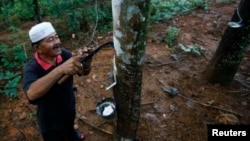 FILE - Roslai Hasan makes incisions on a rubber tree's bark to tap rubber at a plantation at Hulu Rening in the district of Batangkali, outside Kuala Lumpur, May 26, 2014.