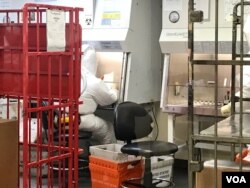 FILE - Employees sort through mail at the Pentagon’s mail screening facility, Oct. 2, 2018. (C. Babb/VOA)