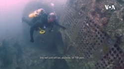 North Carolina Shipwrecks