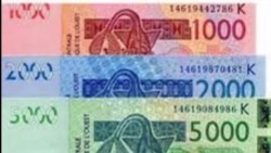 Analyse : une monnaie commune au Niger, au Burkina et au Mali pour remplacer le franc CFA ?