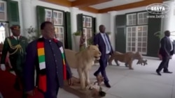 Belarusian President: We come to Africa not for the sake of bringing some illusive democratic values Belarusian President: We come to Africa not for the sake of bringing some illusive democratic values