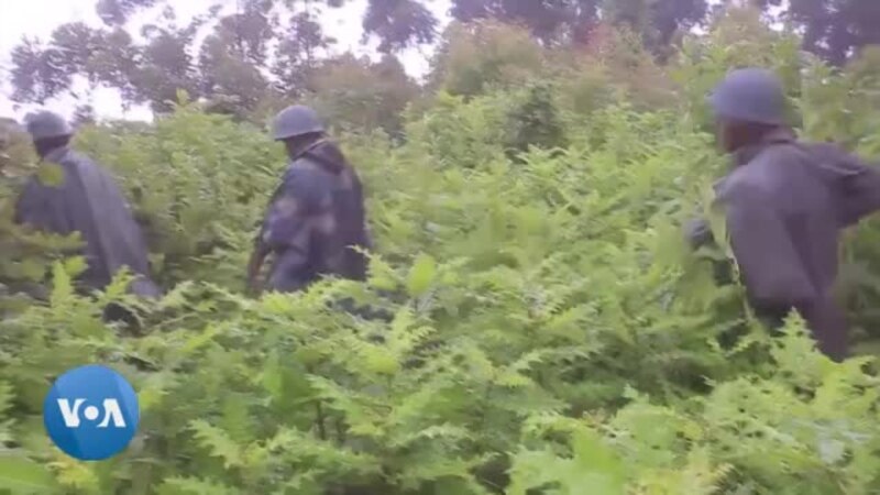 Les rebelles du M23 se sont emparés d'une nouvelle ville en RDC
