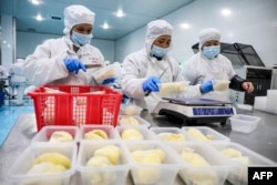 FILE - Workers package frozen durian at a food factory in Hangzhou, in China's eastern Zhejiang province, Feb. 3, 2023.