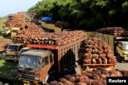 Truk dengan tandan buah segar kelapa sawit antre untuk dibongkar di sebuah pabrik di Aceh Barat, 17 Mei 2022. (Antara Foto/Syifa Yulinnas/ via REUTERS)