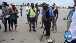 Embaixadora Linda Thomas-Greenfield planta árvores em praia de Maputo