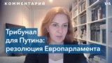 Правозащитница: для трибунала понадобится санкция Генассамблеи ООН 