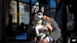 Madeleine Russell, buries her face into the fur of her 4-month-old husky, Stevie Nicks, to stay warm while waiting for a friend outside a coffee shop in Providence, RI, Feb. 3, 2023. 