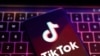 德克萨斯公布州政府禁用TikTok的安全示范计划