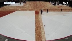 Dünyanın En Büyük Pizzası İçin Rekor Denemesi
