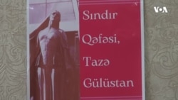 Aygül Cəfərova: Qadın hüquqlarının təmin olunması üçün siyasi iradə lazımdır