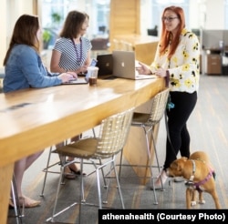 Dogs are welcomed to meetings at athenahealth, an electronic medical records software company near Boston. Molly McLaughlin Soha’s dog, Chai, came wearing blue pearls.