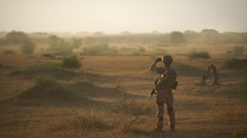 Le Tchad accepte le transit des troupes françaises chassées du Niger
