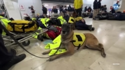 Yabancı Yardım Ekipleri Adana Havalimanı'nda