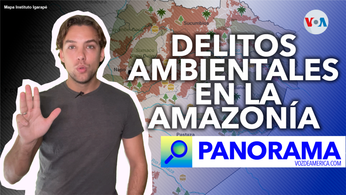 La Amazonía en peligro: los delitos ambientales que la amenazan