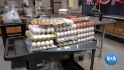 Contraband Eggs Smuggled From Mexico to US