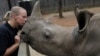 Rhino Poaching Sees Slight Decline in South Africa 