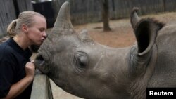 FILE - Yolande van der Merwe kisses an orphaned rhino at a sanctuary for rhinos orphaned by poaching, in Mookgopong, Limpopo province, South Africa, April 17, 2020.