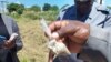 Amapholisa ekhwathaza abantu edinga izidakamizwa ko Bulawayo 