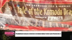 Reportase Weekend: Pemberian Nama Komodo di Kebun Binatang San Francisco, Pameran Elektronik Konsumen (CES) 2023 di Las Vegas