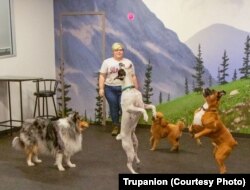 Ali Beeson, a customer service representative at Trupanion, plays with dogs. Trupanion woman throwing ball to dogs -- Ali Beeson, a customer service representative at Trupanion, plays with some dogs in a pet playroom