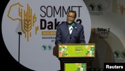 FILE: Akinwumi Adesina, president of the African Development Bank, speaks at the Dakar summit under the theme "Feed Africa", which is hosted by the African Development Bank and the African Union Commission in Dakar. Taken Jan. 25, 2023.