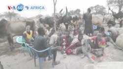 🌍Farafina Ngun Kunafoniw Sanga Kelin Kono 