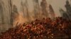 At Least 13 Die in Chile’s Wildfires