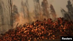 Piles of firewood burn as a wildfire burns in Santa Juana, near Concepcion, Chile, Feb. 3, 2023.
