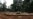 Central African States Fail to Honor Timber Export Ban