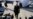 Republicans Launch Investigations Into Biden Administration