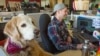Specijalista za plate Tejlor Roberts radi pored svog psa Rajdera u Trupanionu, osiguravajućem društvu za kućne ljubimce u Sijetlu.