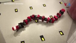 امریکا کې د پوهنتون زده کونکو په سپوږمۍ د څیړنو لپآره د مار په څېر روبوټ جوړ کړی