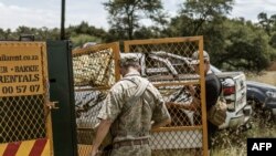 FILE: Members of a private anti-poaching unit company prepares a cage in Walkerville, on January 17, 2023 as the search for a missing female tiger who escaped from her private enclosure intensifies. 