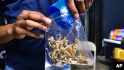 FILE - A vendor bags psilocybin mushrooms at a pop-up cannabis market in Los Angeles on May 24, 2019. 