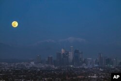 The new year's first moon rises over the Los Angeles skyline on Friday, Jan. 6, 2023. (AP Photo/Damian Dovarganes)