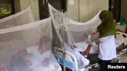 ফাইল ছবি- হাসপাতালে চিকিৎসাধীন ডেঙ্গু আক্রান্ত রোগী। 