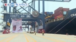 🌍Farafina Ngun Kunafoniw Sanga Kelin Kono